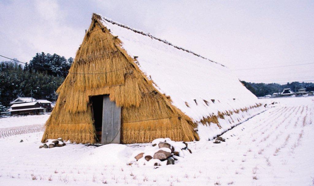 ウド小屋の冬