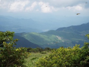 14-鉢伏山への尾根
