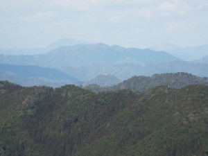21-山頂から城山(黒井城跡)遠望