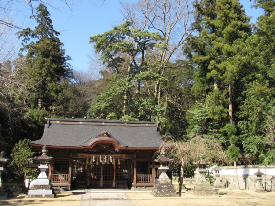 20-兵主神社とオガタマの巨木